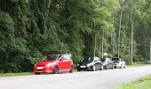 Billede fra Suzukimania Camp Bergwitz 2009 (Swift Club Denmark goes to Germany)