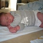 mikkels-mus profilbillede