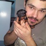 Gringo profilbillede