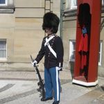 Frizke profilbillede