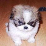 Martin N profilbillede