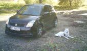 bil bil og min hund